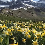 Апартаменты De Montana 