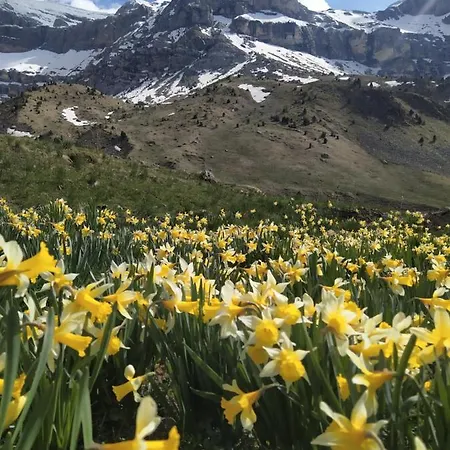 アパート De Montana 