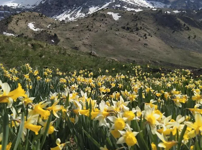 Lägenhet De Montana 